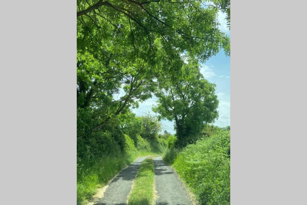 הוילה Limerick Junction Breathneach House מראה חיצוני תמונה